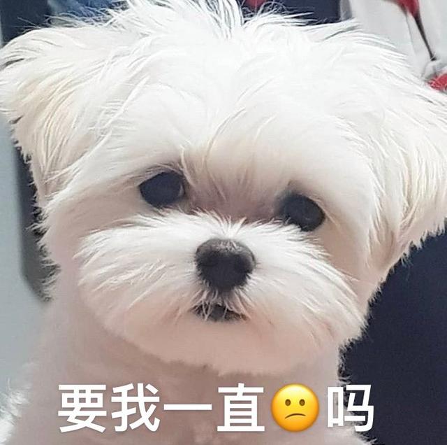 20221107164245_14762