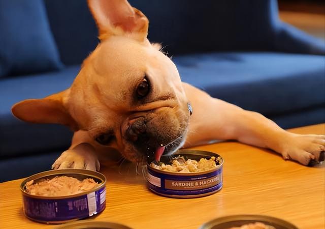 20221107164246_32318