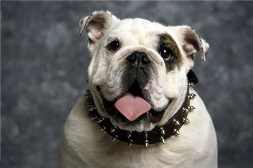 20221107184027_41050 20221107184027_41050