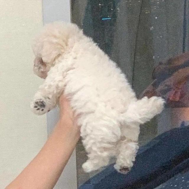 20221108140449_96295 20221108140449_96295