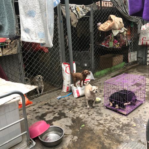 20221108150130_76467 20221108150130_76467