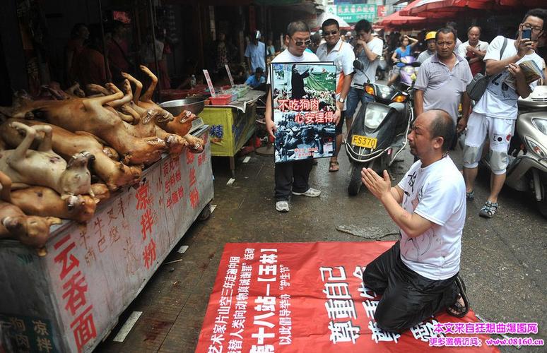 广西狗肉节，广西狗肉节从什么时候开始的 - 警犬训练器材厂家 _警犬训练用品_工作犬训练用品-南京开久警犬装备-警犬训练器材厂家 _警犬训练用品_工作犬训练用品-南京开久警犬装备
