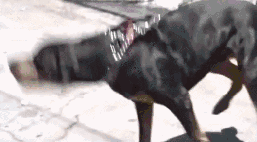 20221109154336_20869