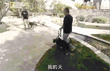 训狗的基本 *** (训狗的基本 *** )-警犬训练器材厂家 _警犬训练用品_工作犬训练用品-南京开久警犬装备