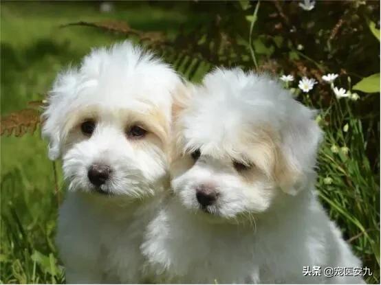 20221109200246_76777