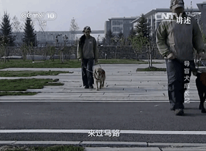 20221109230051_14997