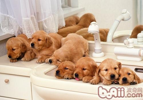 20221110011953_34444