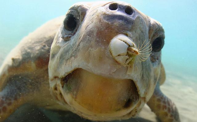 20221110104958_91289 20221110104958_91289