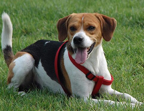 20221110113816_70339 20221110113816_70339