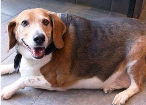 20221110113817_26576 20221110113817_26576