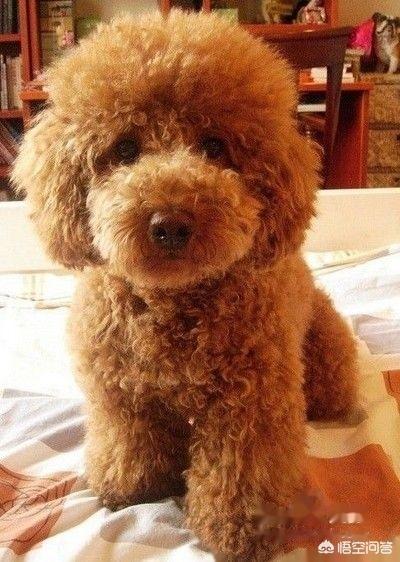 20221110170511_42732