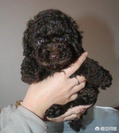 20221110170511_64232