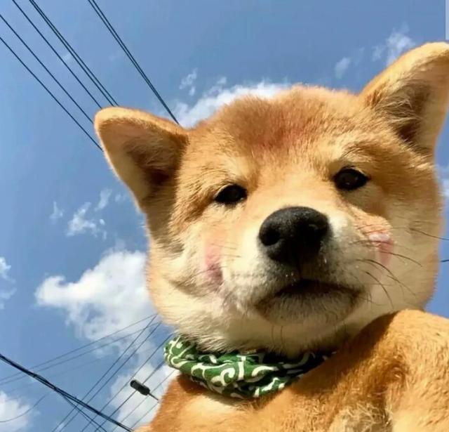 20221111090255_40017