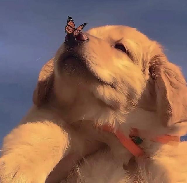 20221111090256_55938