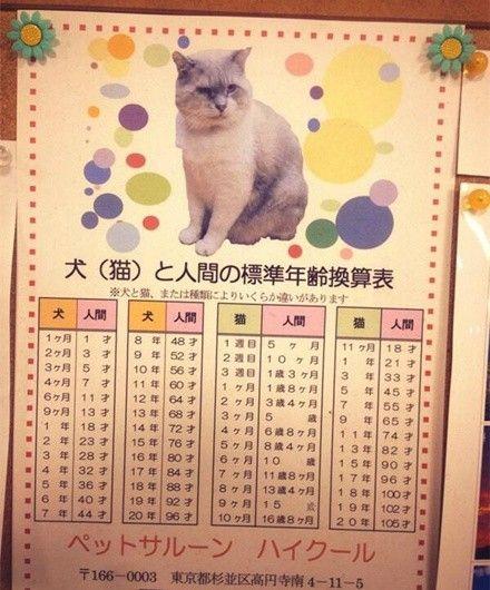 20221111102747_17459 20221111102747_17459