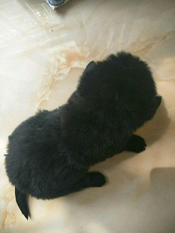 20221111171939_60400