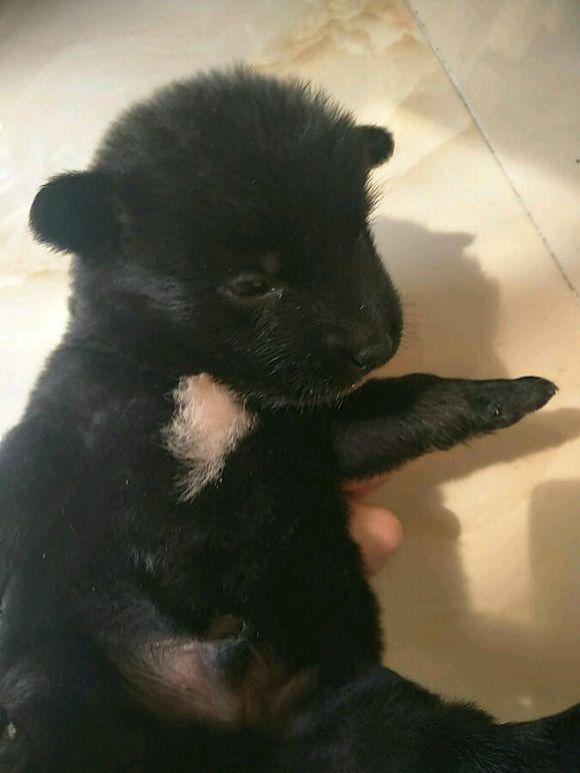 20221111171939_90941