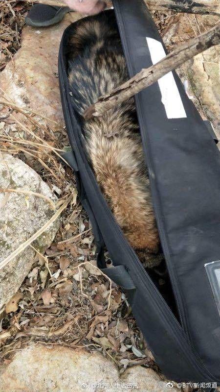 20221111184138_18528