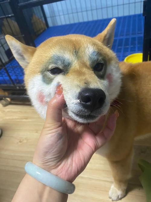 20221111192441_51105