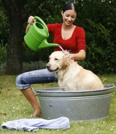 20221111232430_99252 20221111232430_99252