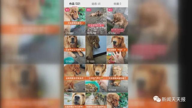 20221112121906_41719