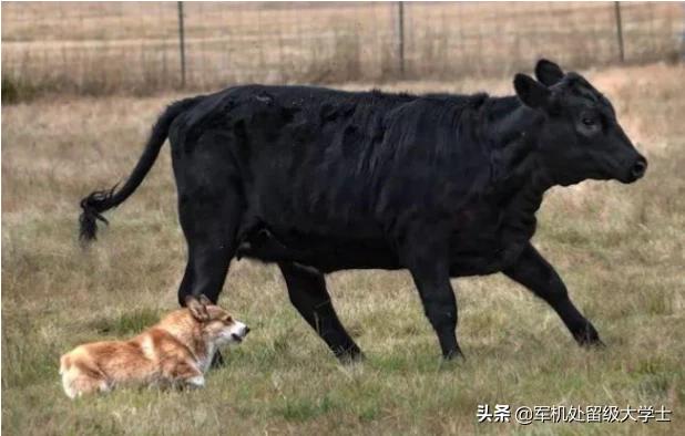 20221112125539_97134 20221112125539_97134