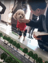 20221113104708_42721