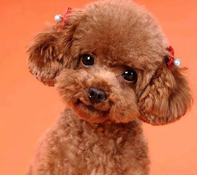 20221113104708_74346 20221113104708_74346