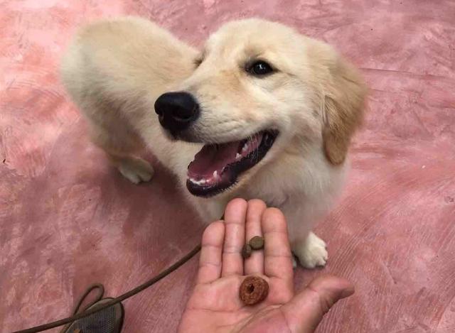 20221113115550_97061