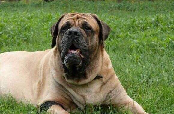 20221113224200_46565 20221113224200_46565