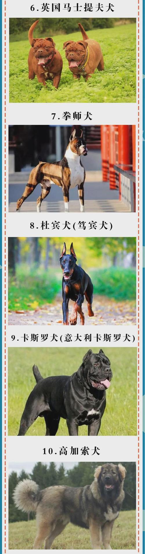 20221113224200_89691 20221113224200_89691