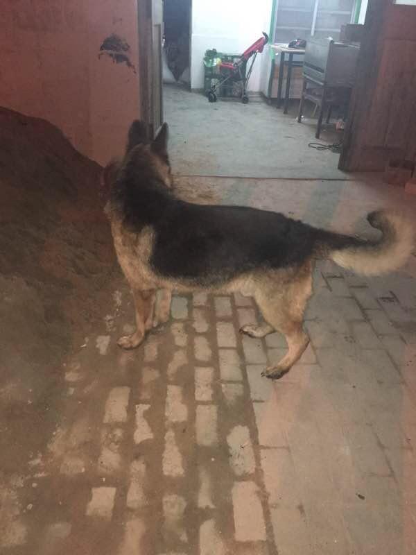 20221114123031_13991 20221114123031_13991