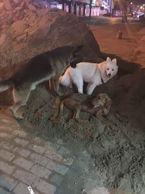 20221114123032_47316 20221114123032_47316