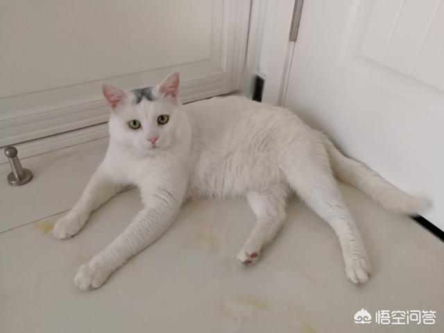 20221115133723_47898 20221115133723_47898