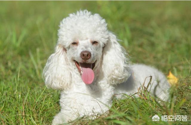 20221115133723_50752 20221115133723_50752