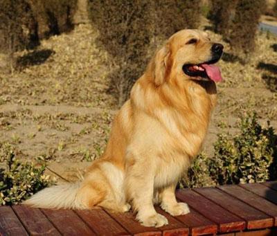 20221115171405_57372