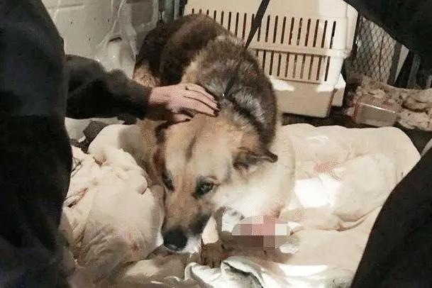 20221115174339_23160