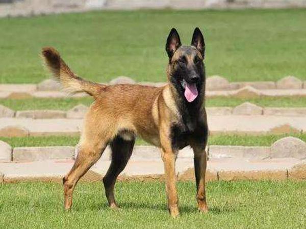 20221115192229_45817 20221115192229_45817