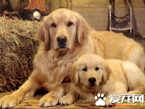 20221115222931_44683 20221115222931_44683