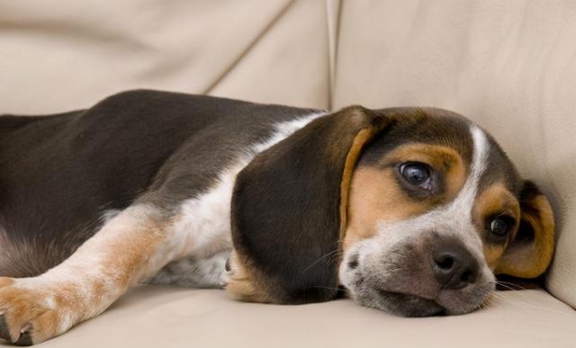 20221116145114_59389 20221116145114_59389