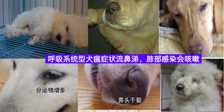 20221116150833_33571