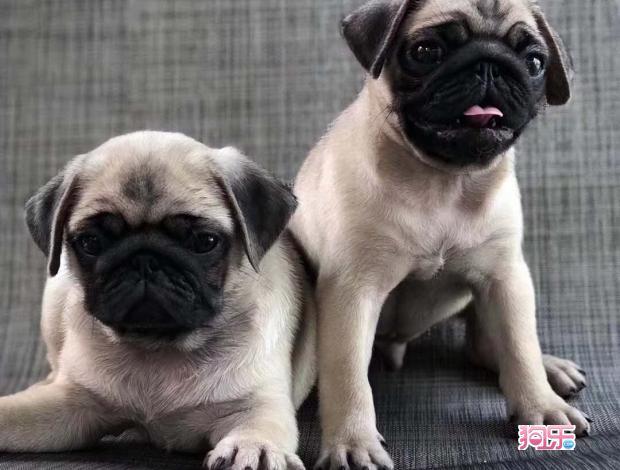 20221116193529_60075 20221116193529_60075