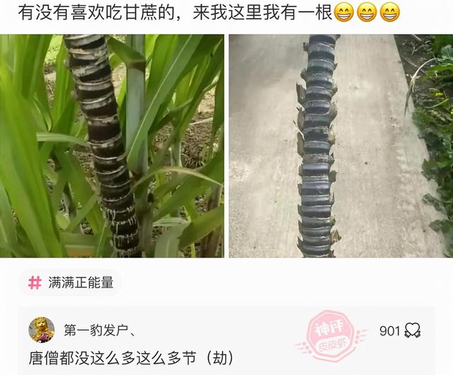 20221117104913_33819