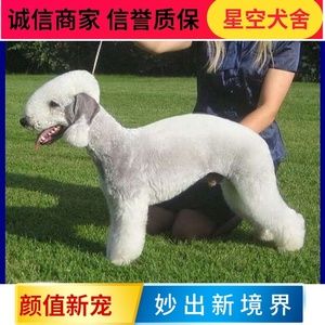 20221117105640_70163 20221117105640_70163