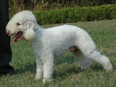 20221117105640_72872 20221117105640_72872