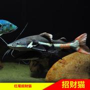 20221117145455_26592 20221117145455_26592