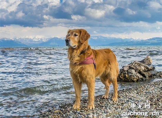 20221117185945_15831 20221117185945_15831