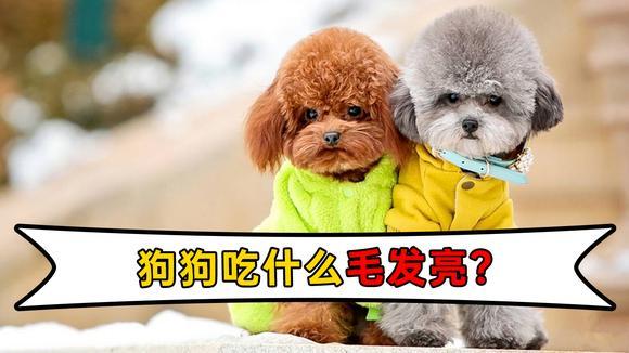 20221117185945_82378 20221117185945_82378