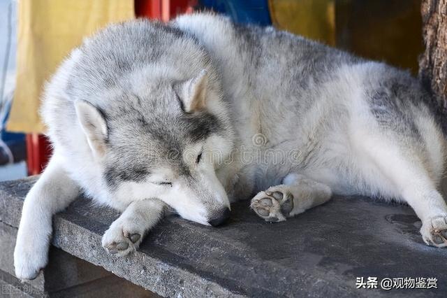 20221117191101_95067