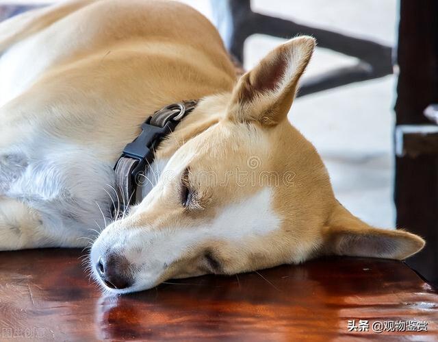 20221117191102_10932